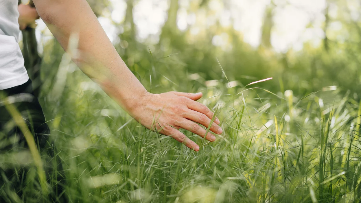 image of a person with light skin touching grass. nothing but their arm and a bit of their side is visible.